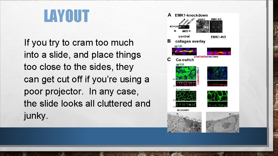LAYOUT If you try to cram too much into a slide, and place things