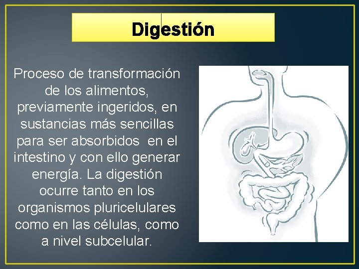 Digestión Proceso de transformación de los alimentos, previamente ingeridos, en sustancias más sencillas para