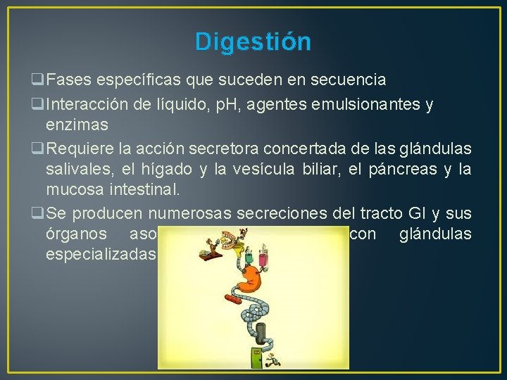 Digestión q. Fases específicas que suceden en secuencia q. Interacción de líquido, p. H,