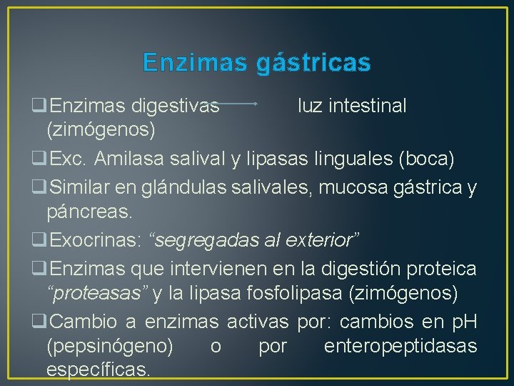 Enzimas gástricas q. Enzimas digestivas luz intestinal (zimógenos) q. Exc. Amilasa salival y lipasas