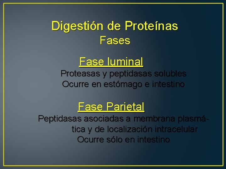 Digestión de Proteínas Fase luminal Proteasas y peptidasas solubles Ocurre en estómago e intestino