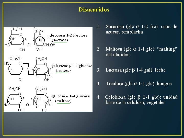 Disacaridos 1. Sacarosa (glc 1 -2 frc): caña de azucar, remolacha 2. Maltosa (glc
