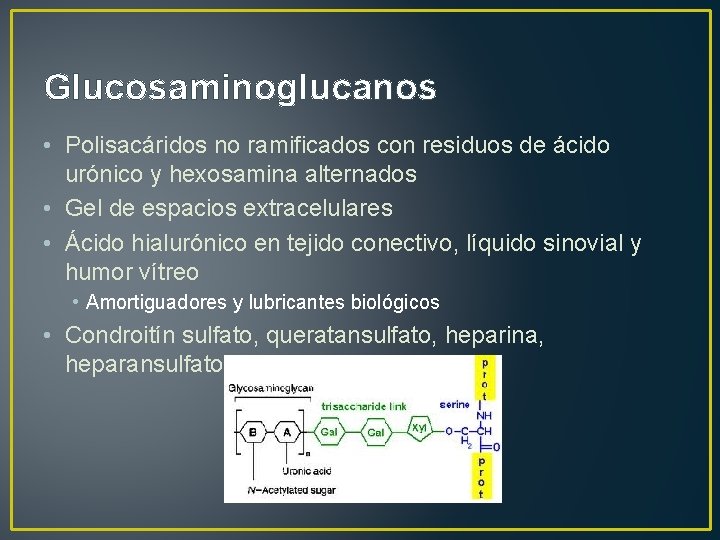 Glucosaminoglucanos • Polisacáridos no ramificados con residuos de ácido urónico y hexosamina alternados •