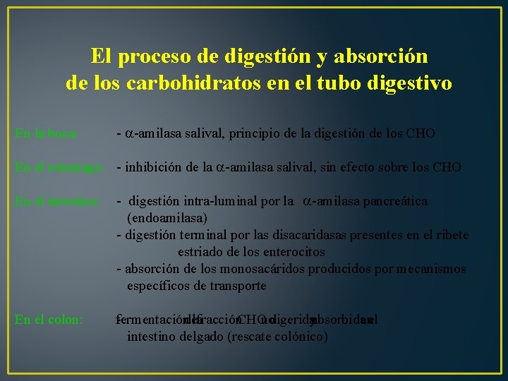 El proceso de digestión y absorción de los carbohidratos en el tubo digestivo En