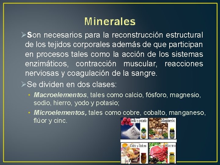 Minerales ØSon necesarios para la reconstrucción estructural de los tejidos corporales además de que