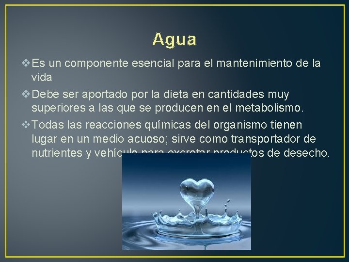 Agua v. Es un componente esencial para el mantenimiento de la vida v. Debe