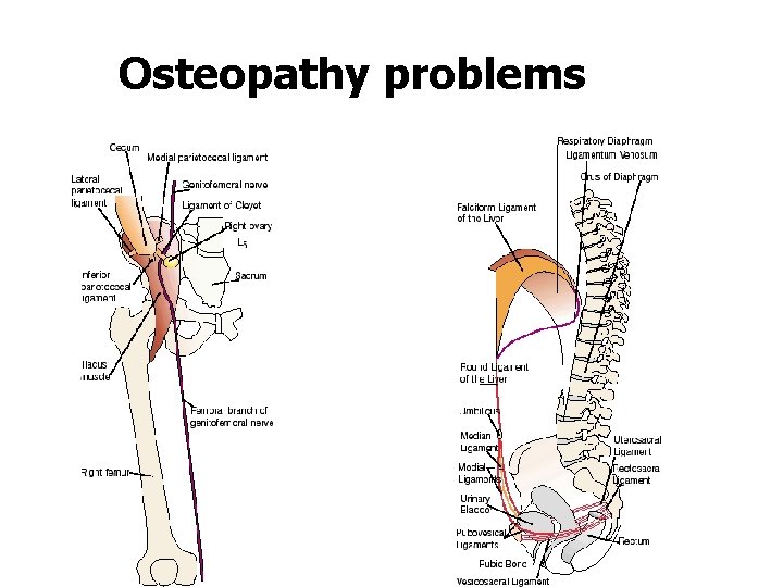 Osteopathy problems 