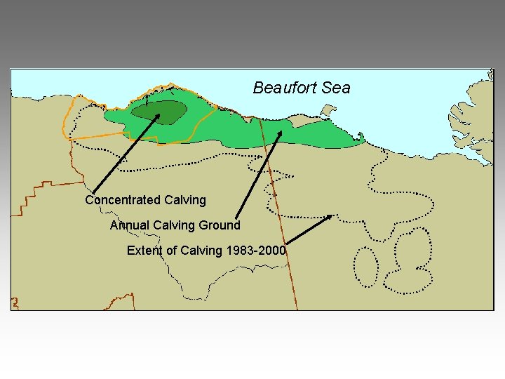 Beaufort Sea Concentrated Calving Annual Calving Ground Extent of Calving 1983 -2000 