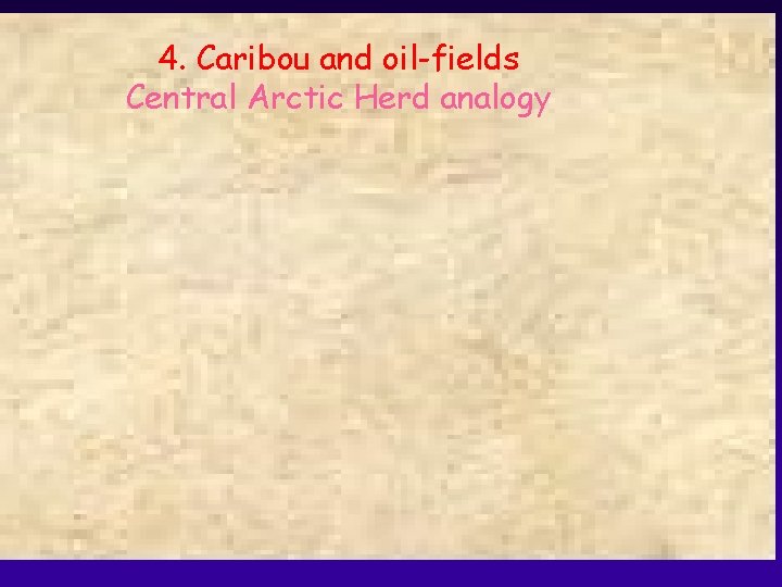 4. Caribou and oil-fields Central Arctic Herd analogy 