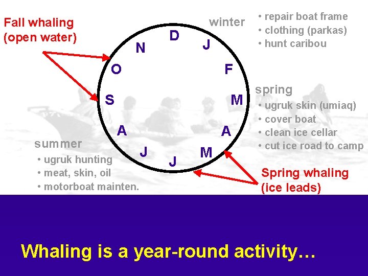 Fall whaling (open water) N D winter J O F S summer M A