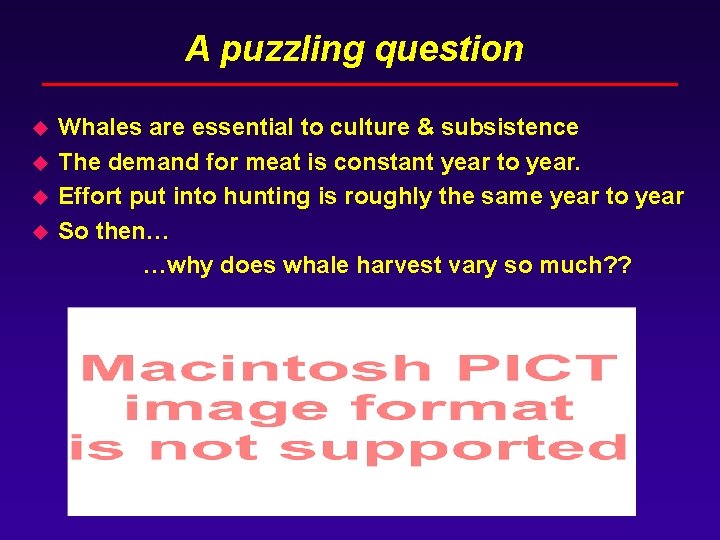 A puzzling question u u Whales are essential to culture & subsistence The demand