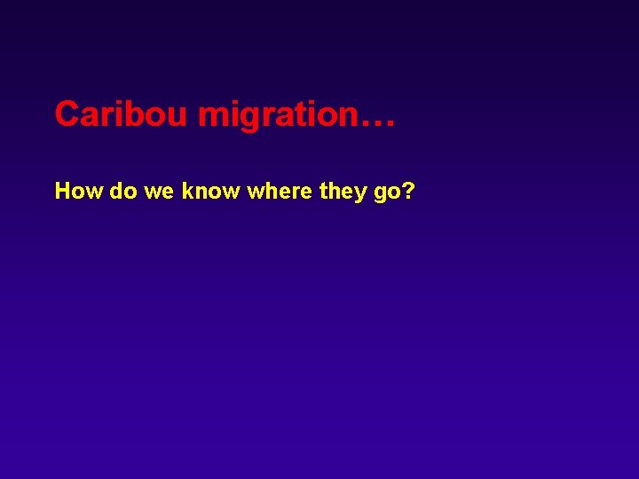 Caribou migration… How do we know where they go? 