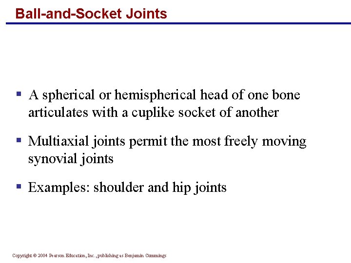 Ball-and-Socket Joints § A spherical or hemispherical head of one bone articulates with a