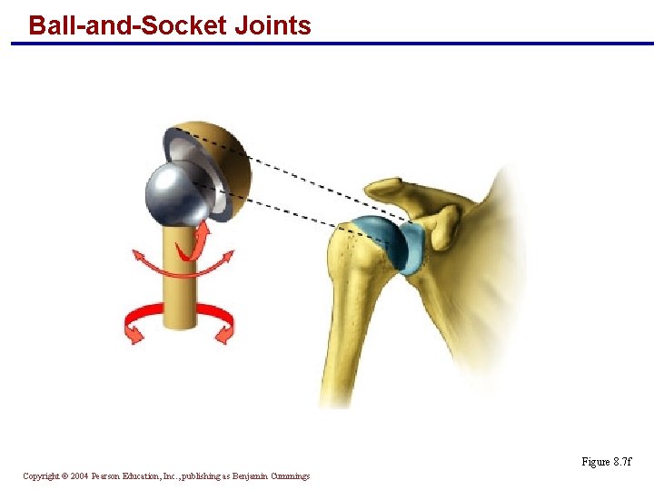 Ball-and-Socket Joints Figure 8. 7 f Copyright © 2004 Pearson Education, Inc. , publishing