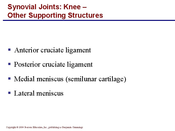 Synovial Joints: Knee – Other Supporting Structures § Anterior cruciate ligament § Posterior cruciate