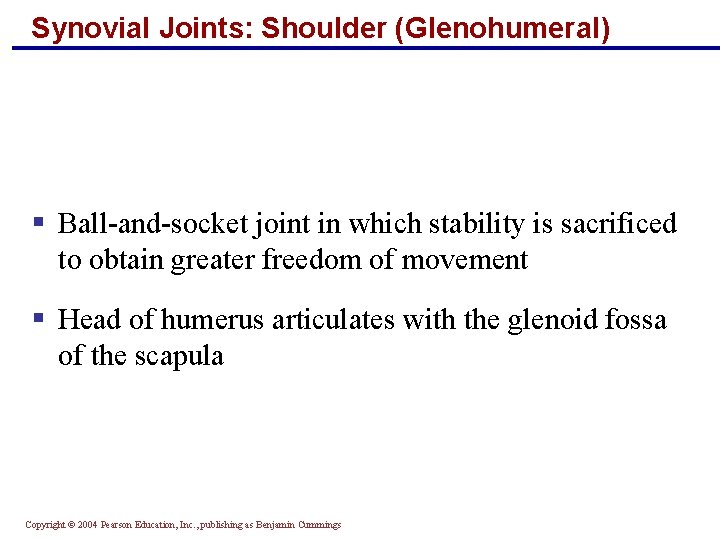 Synovial Joints: Shoulder (Glenohumeral) § Ball-and-socket joint in which stability is sacrificed to obtain