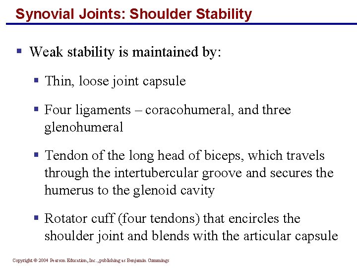 Synovial Joints: Shoulder Stability § Weak stability is maintained by: § Thin, loose joint