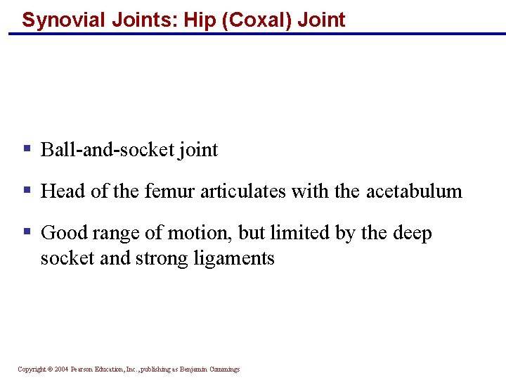 Synovial Joints: Hip (Coxal) Joint § Ball-and-socket joint § Head of the femur articulates