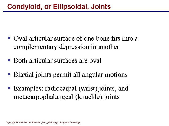 Condyloid, or Ellipsoidal, Joints § Oval articular surface of one bone fits into a