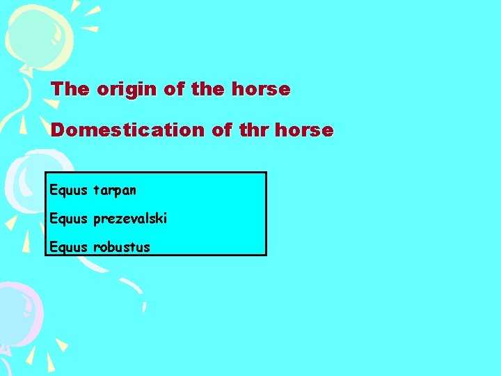 The origin of the horse Domestication of thr horse Equus tarpan Equus prezevalski Equus