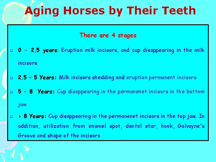 Aging Horses by Their Teeth There are 4 stages q 0 - 2, 5