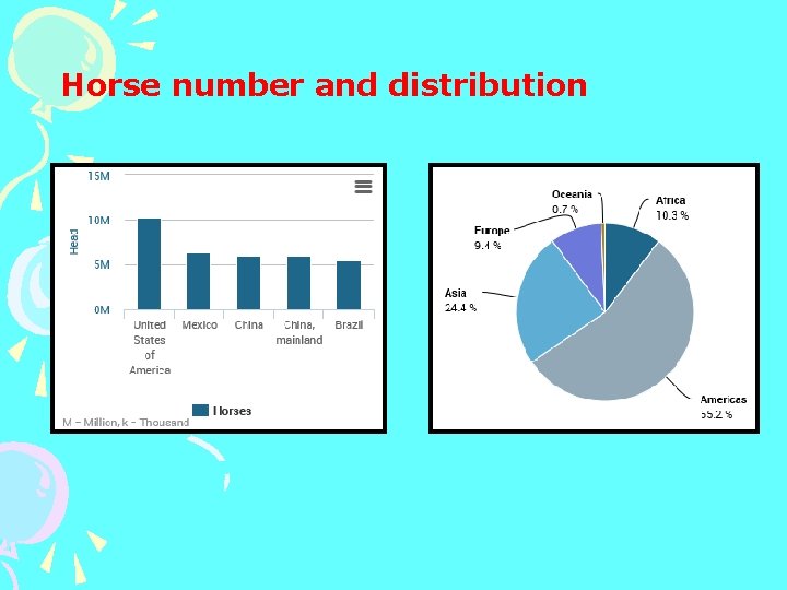 Horse number and distribution 