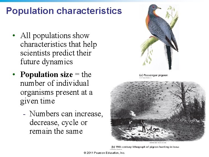 Population characteristics • All populations show characteristics that help scientists predict their future dynamics