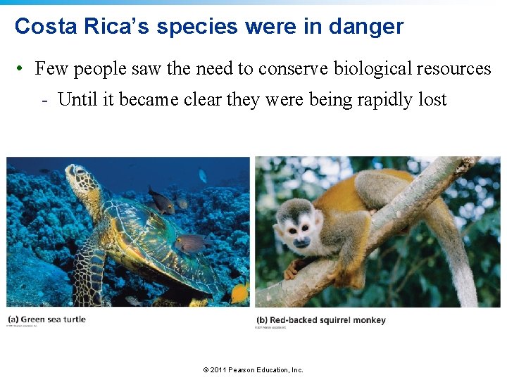 Costa Rica’s species were in danger • Few people saw the need to conserve