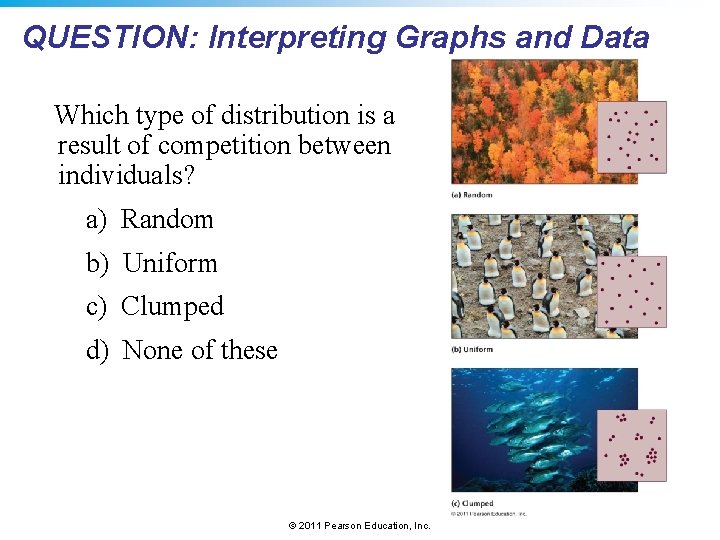 QUESTION: Interpreting Graphs and Data Which type of distribution is a result of competition