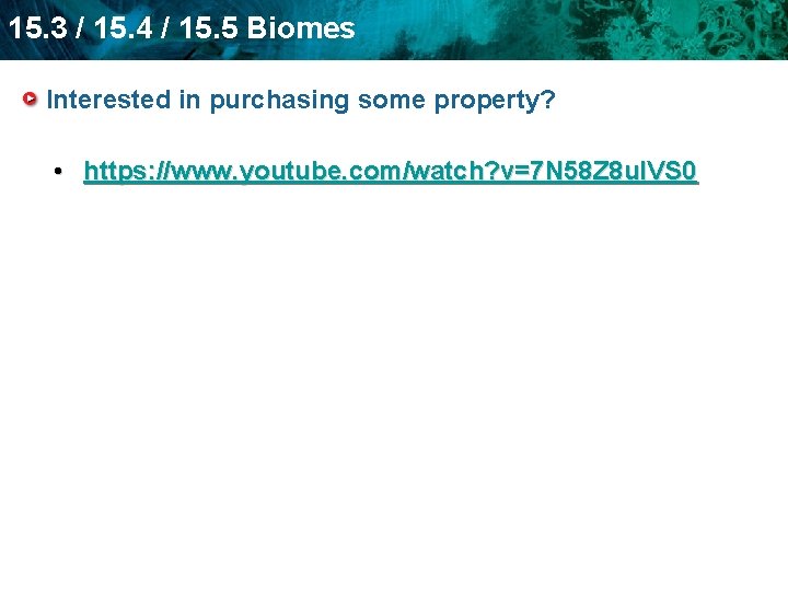 15. 3 / 15. 4 / 15. 5 Biomes Interested in purchasing some property?