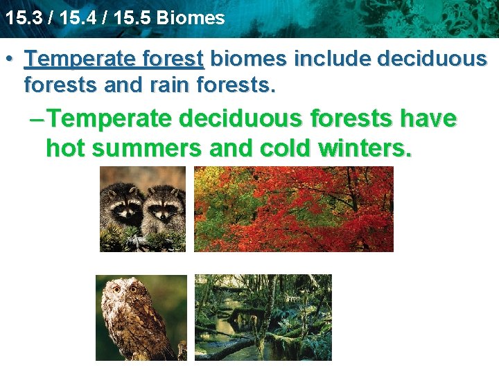15. 3 / 15. 4 / 15. 5 Biomes • Temperate forest biomes include