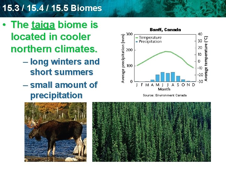 15. 3 / 15. 4 / 15. 5 Biomes • The taiga biome is