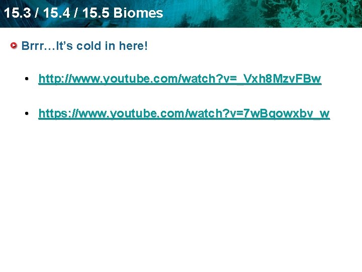 15. 3 / 15. 4 / 15. 5 Biomes Brrr…It’s cold in here! •