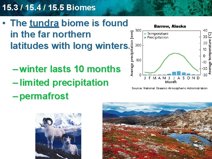 15. 3 / 15. 4 / 15. 5 Biomes • The tundra biome is