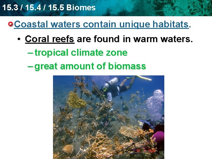 15. 3 / 15. 4 / 15. 5 Biomes Coastal waters contain unique habitats.