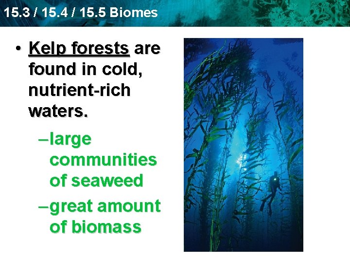 15. 3 / 15. 4 / 15. 5 Biomes • Kelp forests are found