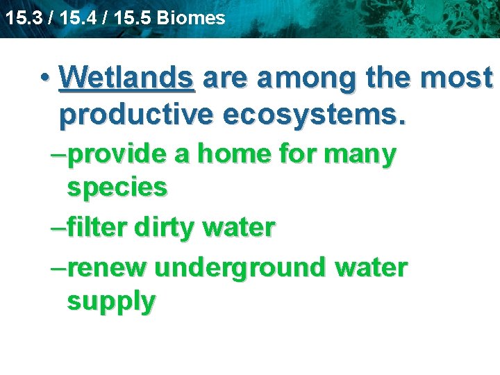 15. 3 / 15. 4 / 15. 5 Biomes • Wetlands are among the