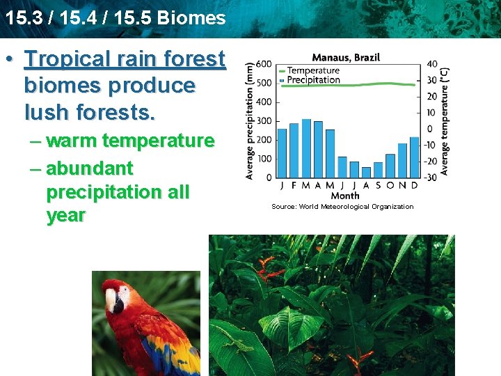 15. 3 / 15. 4 / 15. 5 Biomes • Tropical rain forest biomes