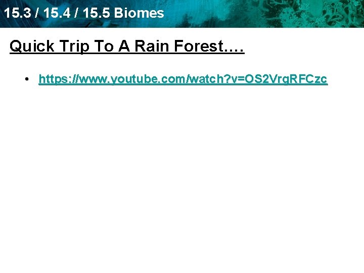 15. 3 / 15. 4 / 15. 5 Biomes Quick Trip To A Rain