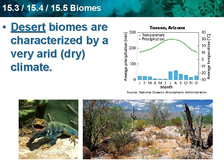 15. 3 / 15. 4 / 15. 5 Biomes • Desert biomes are characterized