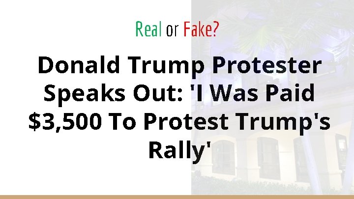 Real or Fake? Donald Trump Protester Speaks Out: 'I Was Paid $3, 500 To