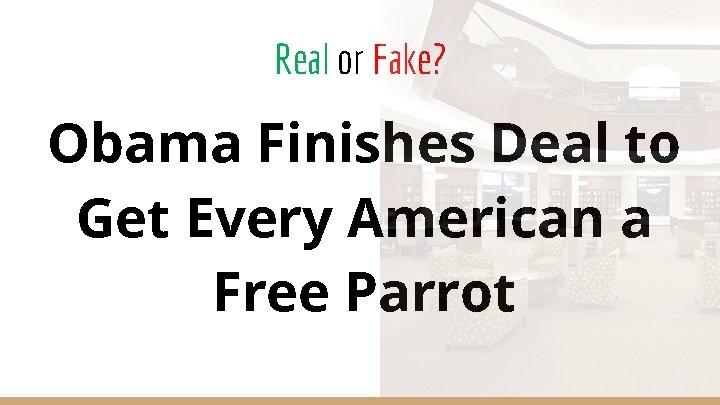 Real or Fake? Obama Finishes Deal to Get Every American a Free Parrot 