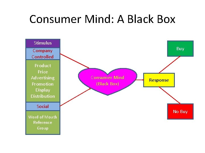 Consumer Mind: A Black Box Stimulus Company Controlled Product Price Advertising Promotion Display Distribution