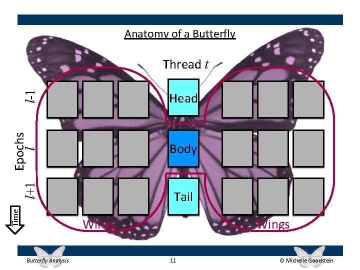 Anatomy of a Butterfly l-1 Thread t Time Epochs l l+1 Head Body Tail