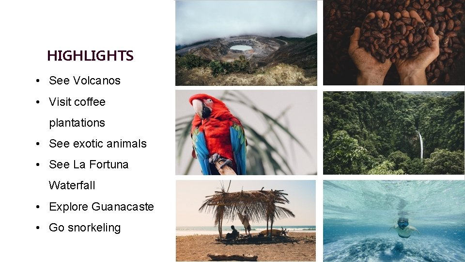 HIGHLIGHTS • See Volcanos • Visit coffee plantations • See exotic animals • See