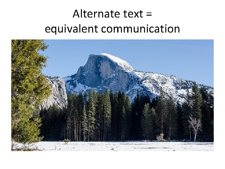 Alternate text = equivalent communication 