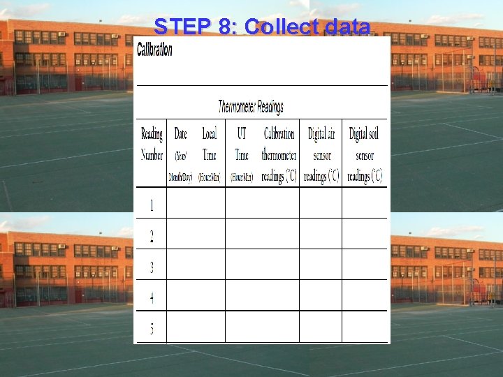 STEP 8: Collect data 