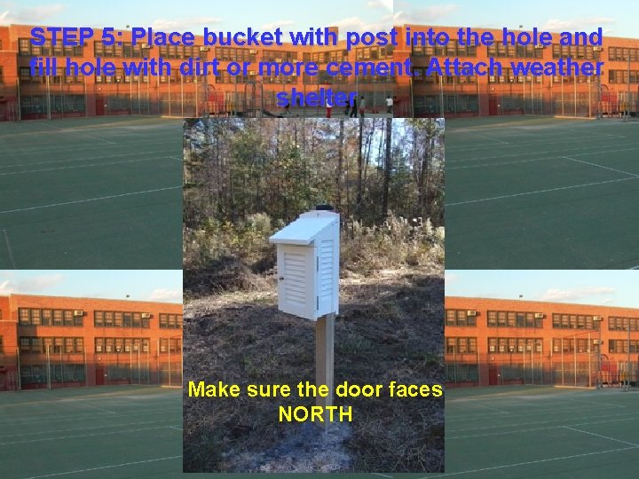 STEP 5: Place bucket with post into the hole and fill hole with dirt