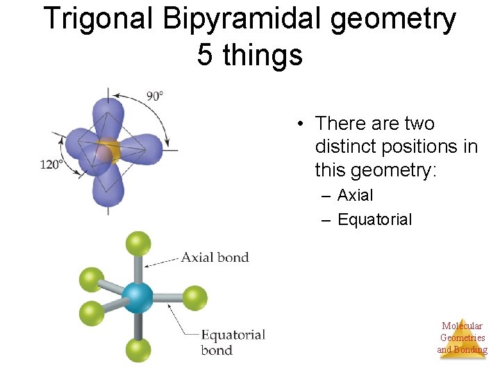 Trigonal Bipyramidal geometry 5 things • There are two distinct positions in this geometry: