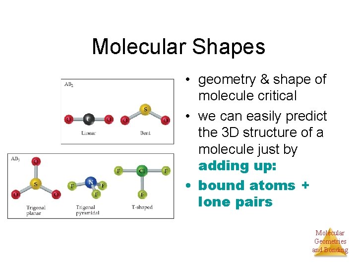 Molecular Shapes • geometry & shape of molecule critical • we can easily predict